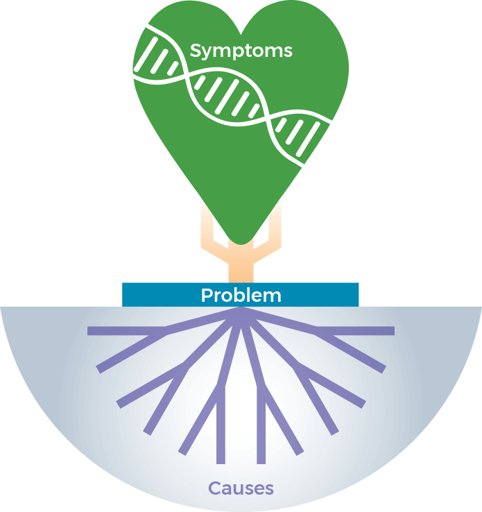 Dilated Cardiomyopathy Causes